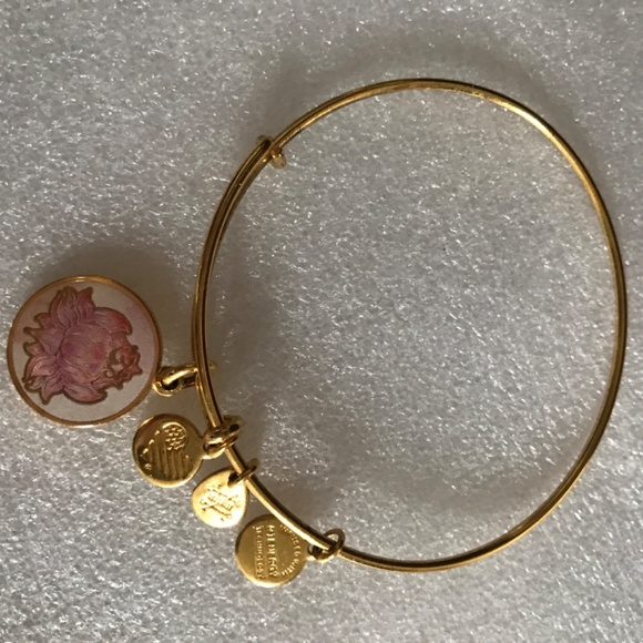 Alex and Ani Expandable Wire Bracelet - Picture 9 of 12